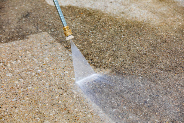 Best Animal Enclosure Cleaning  in Wilber, NE